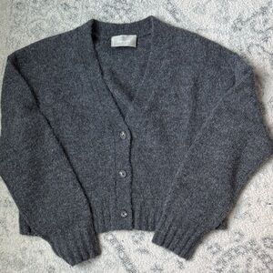 Everlane Charcoal Button-Up Cardigan